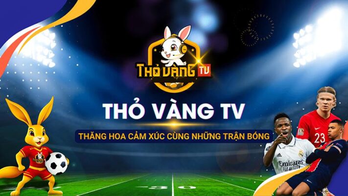 Trang xem trực tiếp bóng đá chất lượng hd